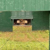 SKDinschede_Sebastianhütte 2025_3.jpeg